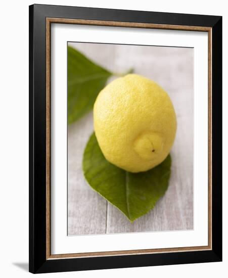 A Lemon with Leaves-Marc O^ Finley-Framed Photographic Print