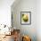 A Lemon with Leaves-Marc O^ Finley-Framed Photographic Print displayed on a wall