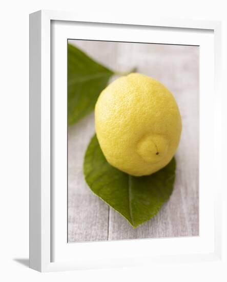 A Lemon with Leaves-Marc O^ Finley-Framed Photographic Print