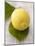 A Lemon with Leaves-Marc O^ Finley-Mounted Photographic Print