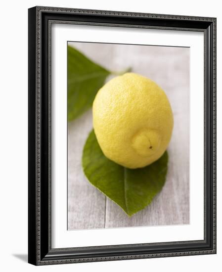 A Lemon with Leaves-Marc O^ Finley-Framed Photographic Print