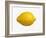 A Lemon-Bodo A^ Schieren-Framed Photographic Print