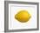 A Lemon-Bodo A^ Schieren-Framed Photographic Print