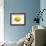 A Lemon-Bodo A^ Schieren-Framed Photographic Print displayed on a wall