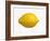 A Lemon-Bodo A^ Schieren-Framed Photographic Print