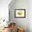 A Lemon-Bodo A^ Schieren-Framed Photographic Print displayed on a wall