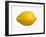 A Lemon-Bodo A^ Schieren-Framed Photographic Print