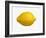 A Lemon-Bodo A^ Schieren-Framed Photographic Print