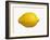 A Lemon-Bodo A^ Schieren-Framed Photographic Print