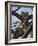 A Leopard Gazes Intently from a Comfortable Perch in a Tree in Samburu National Reserve-Nigel Pavitt-Framed Photographic Print