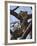 A Leopard Gazes Intently from a Comfortable Perch in a Tree in Samburu National Reserve-Nigel Pavitt-Framed Photographic Print