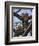 A Leopard Gazes Intently from a Comfortable Perch in a Tree in Samburu National Reserve-Nigel Pavitt-Framed Photographic Print