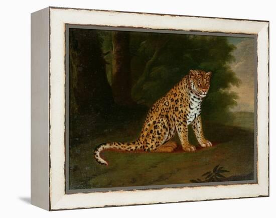 A Leopard in a Landscape-Jacques-Laurent Agasse-Framed Premier Image Canvas