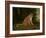 A Leopard in a Landscape-Jacques-Laurent Agasse-Framed Giclee Print