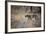 A Leopard, Panthera Pardus, Walking Through Grass in Namibia's Etosha National Park-Alex Saberi-Framed Photographic Print