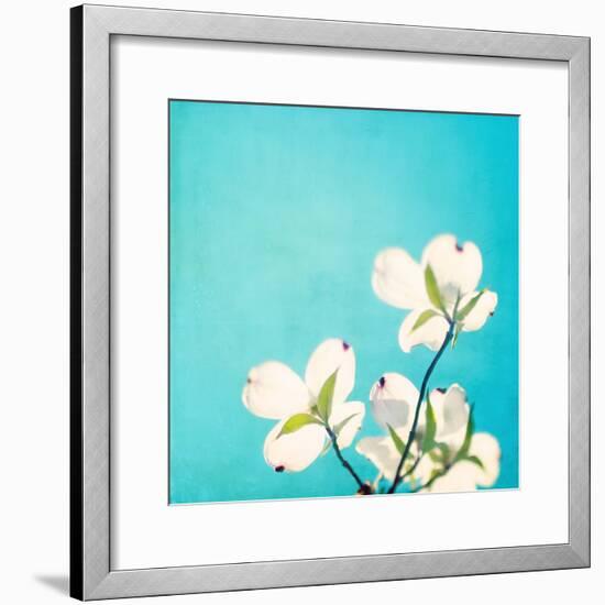 A Life So Colorful-Carolyn Cochrane-Framed Photographic Print