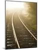 A Light Fog and Frost on the Forgotten World Road in New Zealand's North Island.-Sergio Ballivian-Mounted Photographic Print