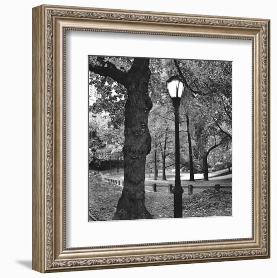 A Light in Central Park-Erin Clark-Framed Art Print