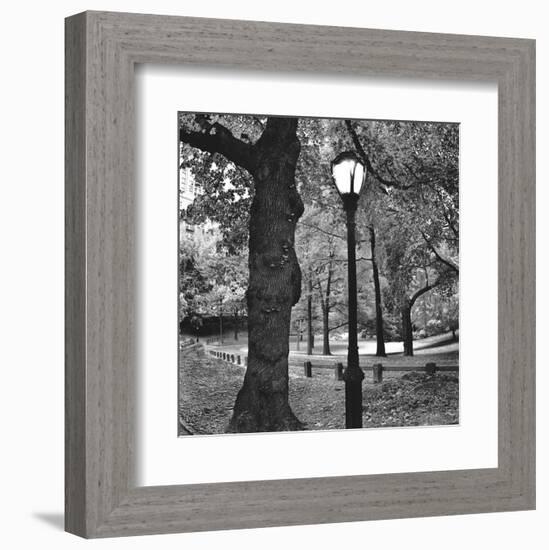 A Light in Central Park-Erin Clark-Framed Art Print