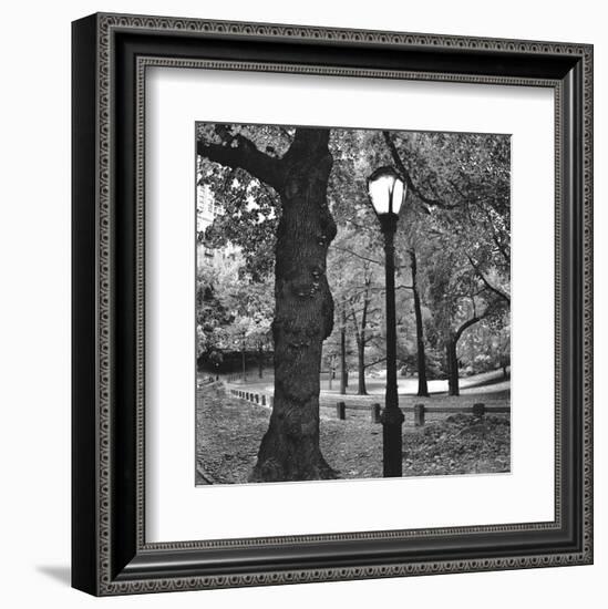 A Light in Central Park-Erin Clark-Framed Art Print