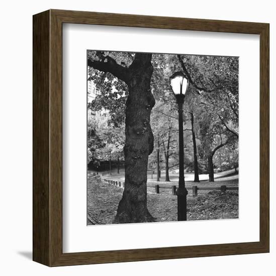 A Light in Central Park-Erin Clark-Framed Art Print