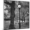 A Light in Central Park-Erin Clark-Mounted Art Print