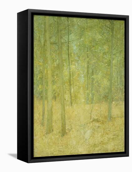 A Light in the Forest-Soren Emil Carlsen-Framed Premier Image Canvas