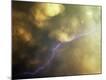 Photographic Print