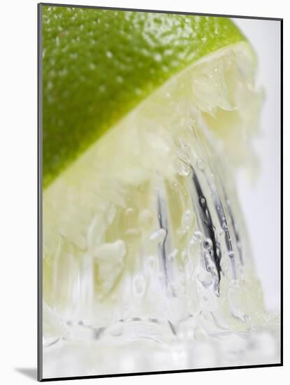 A Lime Being Juiced-null-Mounted Photographic Print