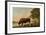 A Lincolnshire Ox-George Stubbs-Framed Premium Giclee Print