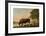 A Lincolnshire Ox-George Stubbs-Framed Premium Giclee Print