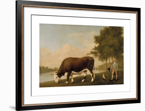 A Lincolnshire Ox-George Stubbs-Framed Premium Giclee Print