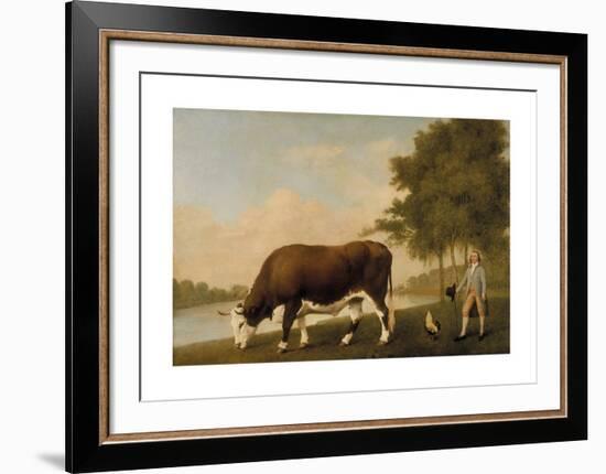 A Lincolnshire Ox-George Stubbs-Framed Premium Giclee Print