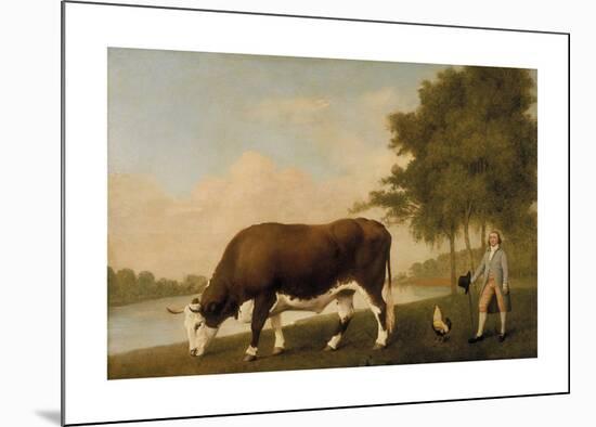 A Lincolnshire Ox-George Stubbs-Mounted Premium Giclee Print