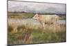 A Lincolnshire Pasture, C.1882-3 (Oil on Canvas)-Joseph Crawhall-Mounted Giclee Print