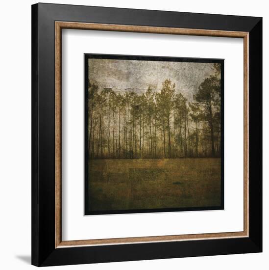 A Line of Pines-John W^ Golden-Framed Art Print