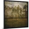 A Line of Pines-John W^ Golden-Mounted Art Print