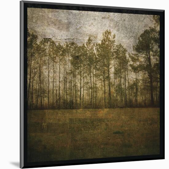 A Line of Pines-John W^ Golden-Mounted Art Print