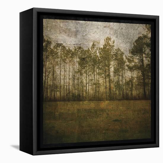 A Line of Pines-John W Golden-Framed Premier Image Canvas