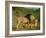 A Lion and a Lioness in a Rocky Valley-Jacques-Laurent Agasse-Framed Giclee Print