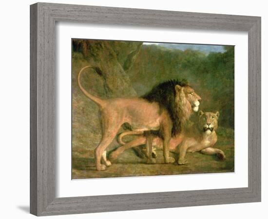 A Lion and a Lioness in a Rocky Valley-Jacques-Laurent Agasse-Framed Giclee Print