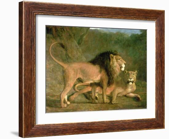 A Lion and a Lioness in a Rocky Valley-Jacques-Laurent Agasse-Framed Giclee Print