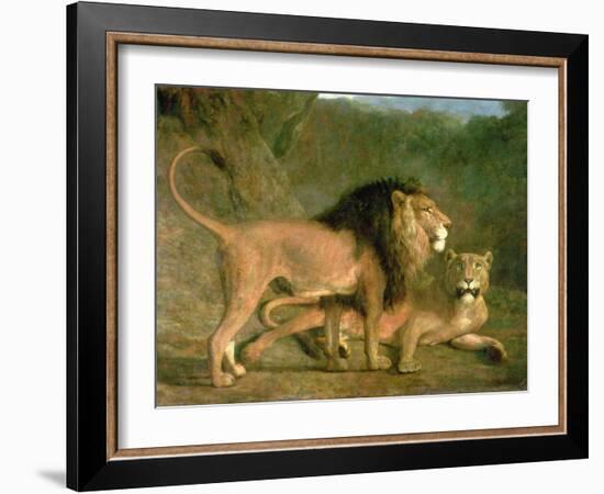 A Lion and a Lioness in a Rocky Valley-Jacques-Laurent Agasse-Framed Giclee Print