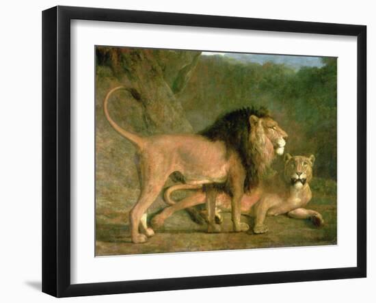 A Lion and a Lioness in a Rocky Valley-Jacques-Laurent Agasse-Framed Giclee Print