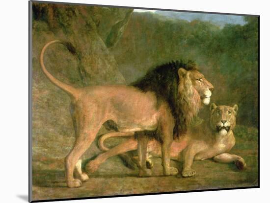 A Lion and a Lioness in a Rocky Valley-Jacques-Laurent Agasse-Mounted Giclee Print