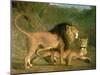 A Lion and a Lioness in a Rocky Valley-Jacques-Laurent Agasse-Mounted Giclee Print