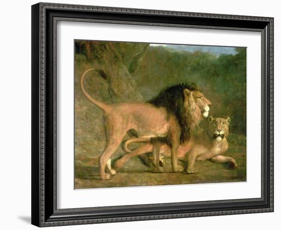 A Lion and a Lioness in a Rocky Valley-Jacques-Laurent Agasse-Framed Giclee Print