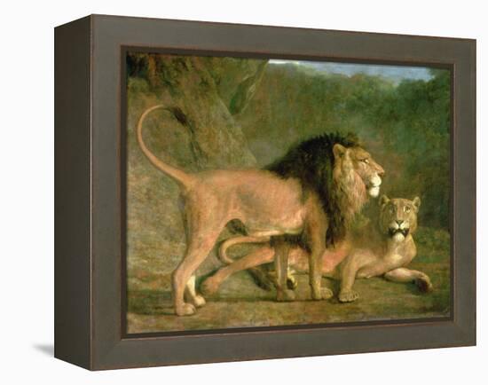 A Lion and a Lioness in a Rocky Valley-Jacques-Laurent Agasse-Framed Premier Image Canvas