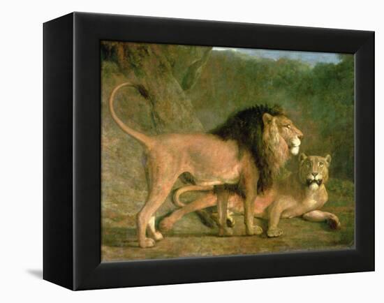 A Lion and a Lioness in a Rocky Valley-Jacques-Laurent Agasse-Framed Premier Image Canvas