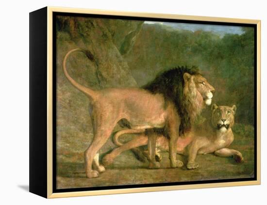 A Lion and a Lioness in a Rocky Valley-Jacques-Laurent Agasse-Framed Premier Image Canvas